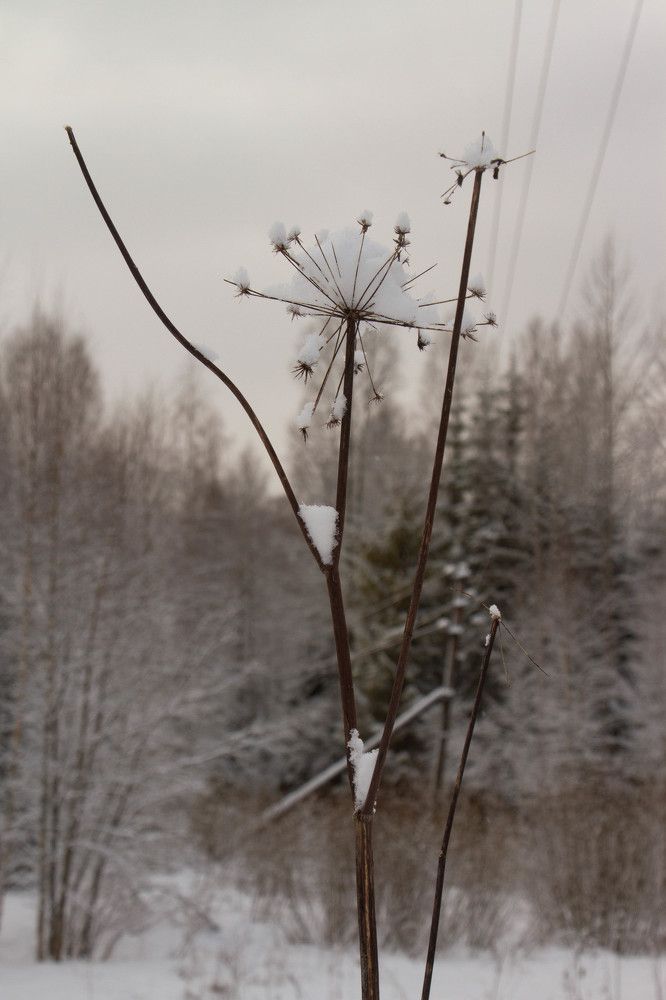 Photograph by Nadezhda Bakina