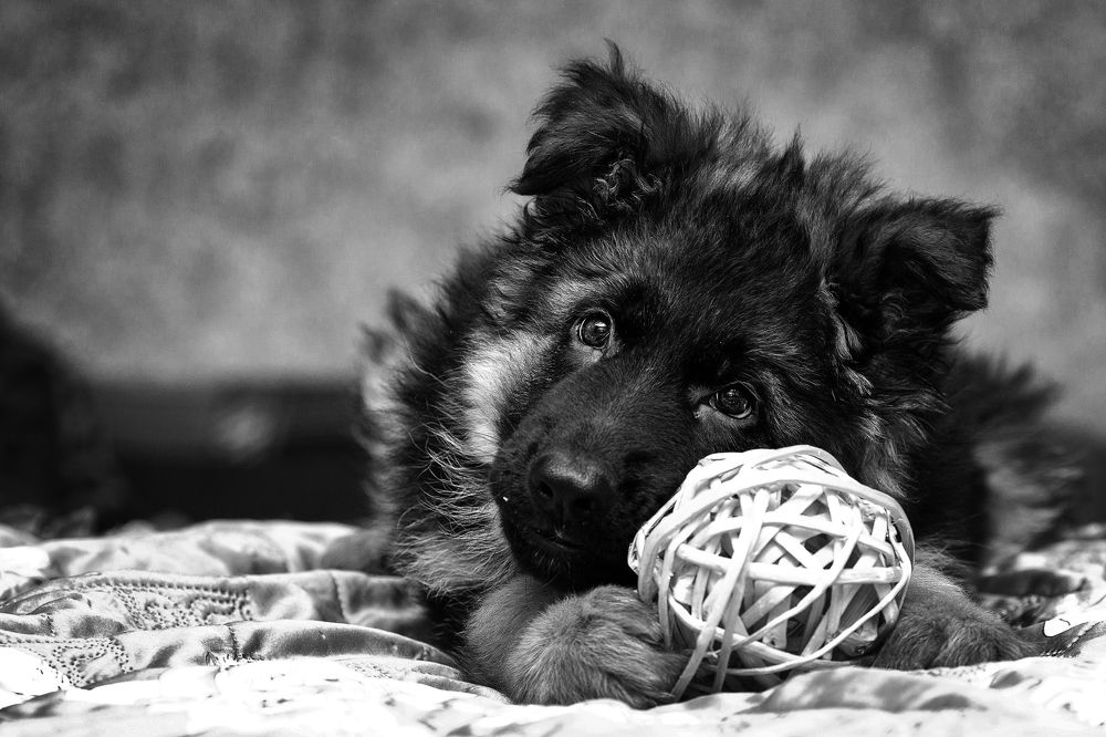 Photograph by Ольга Калимулина