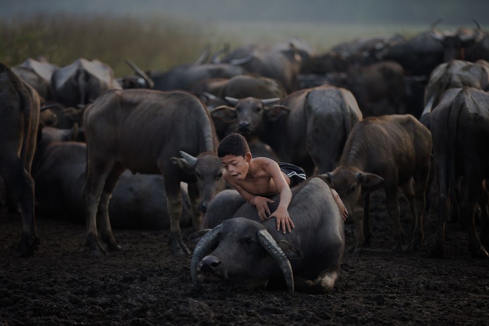 Photograph by Abdullah Deen Mohd. Zain