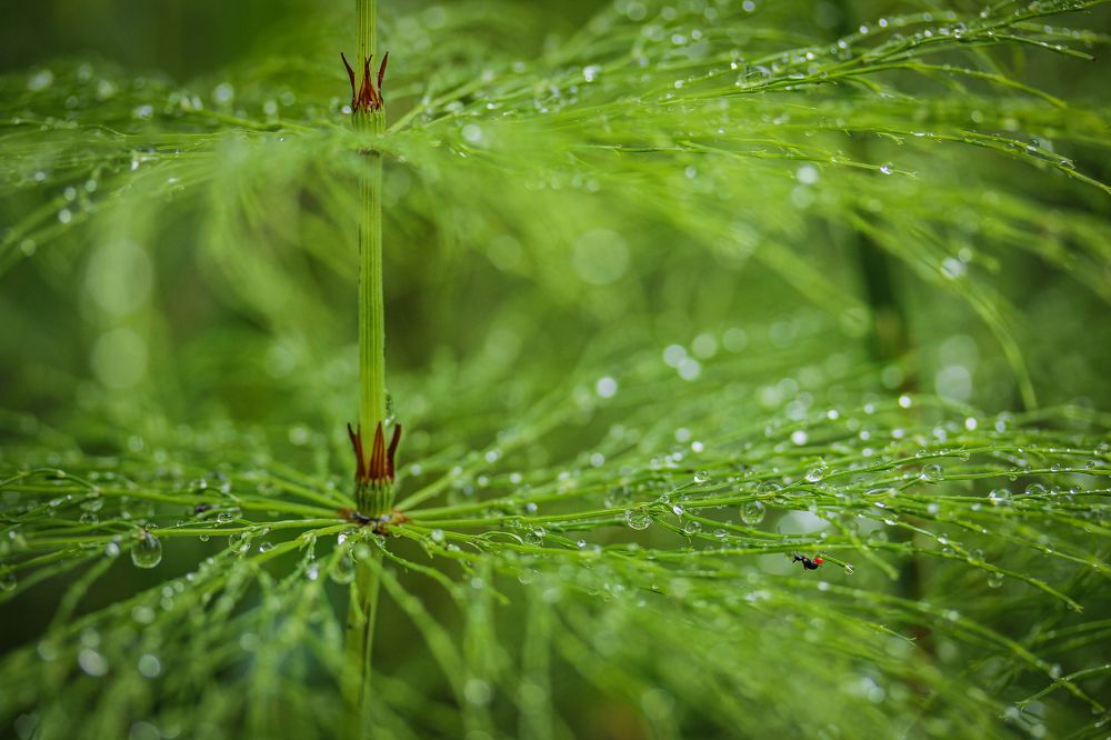 Photograph by Анастасия Бравичева