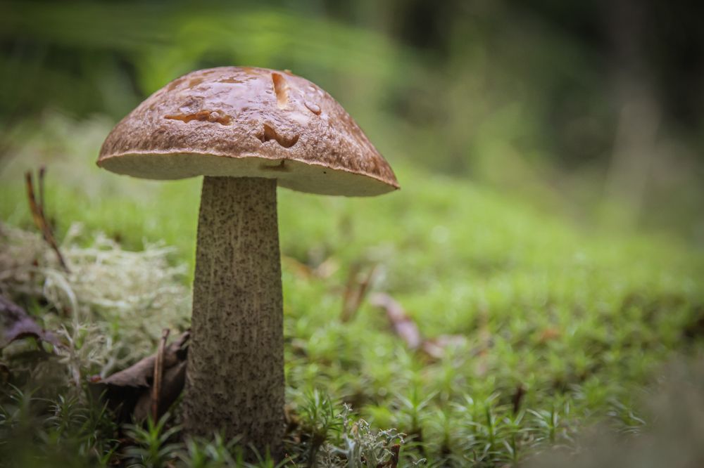 Photograph by Анастасия Бравичева