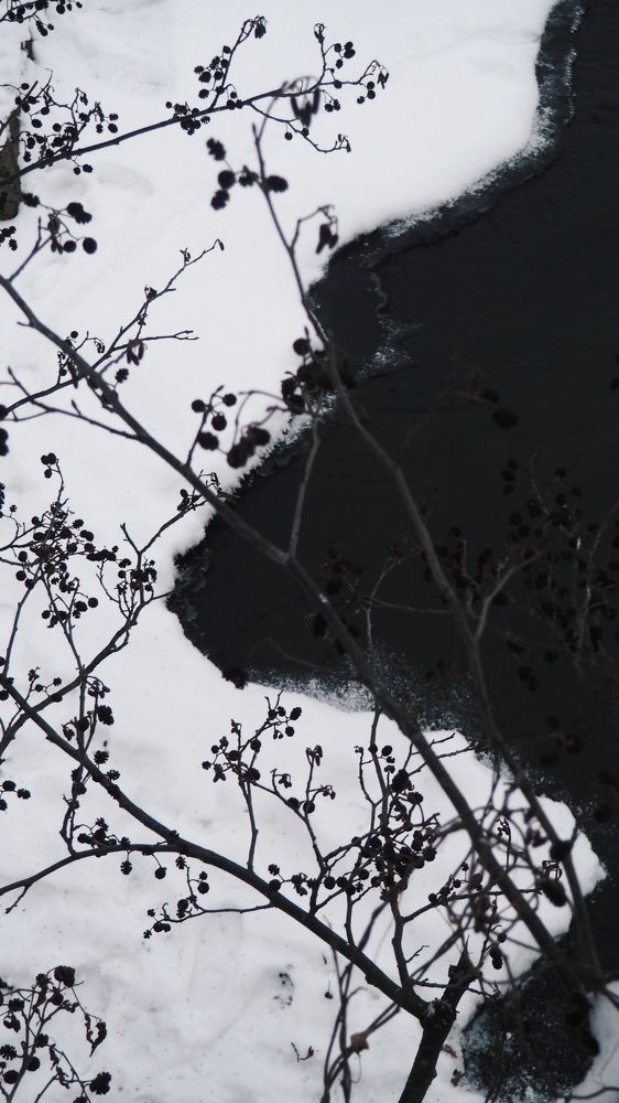 Photograph by Юлия Шушина