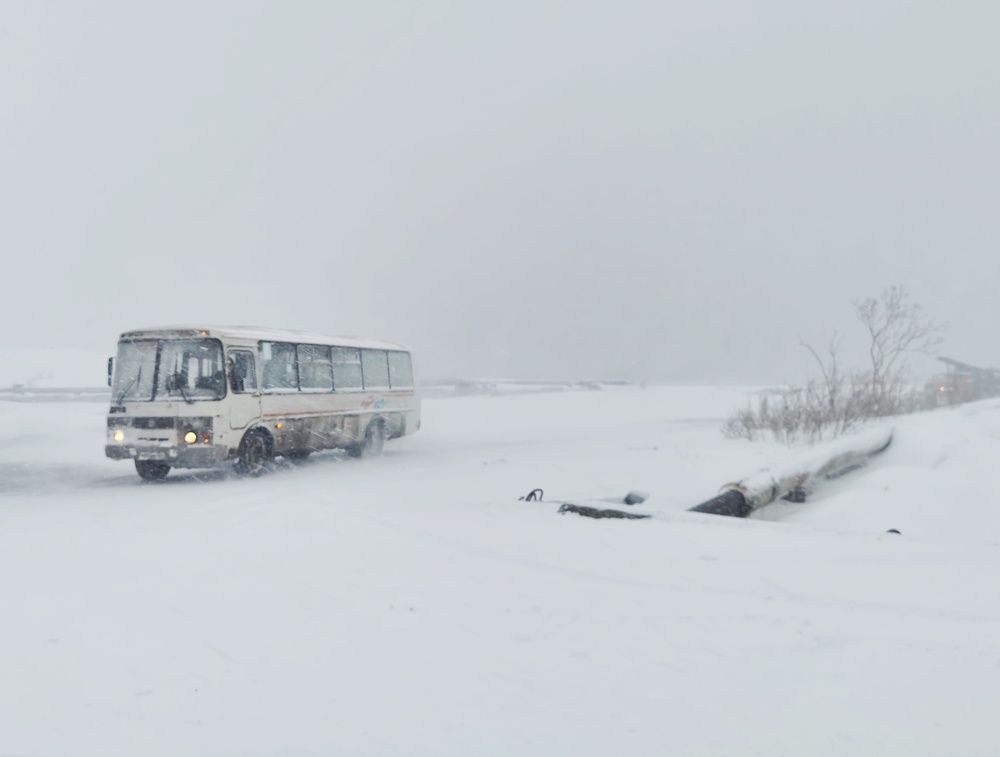 Photograph by Леонид Прядко