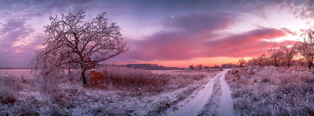 В вечерних красках.