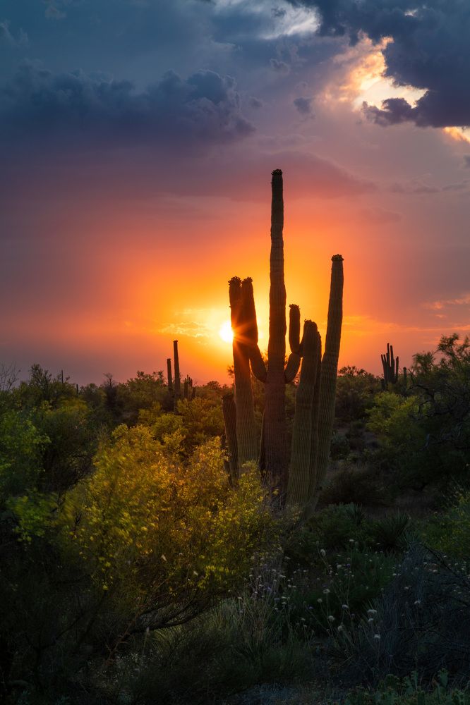 Photograph by Lana Anferow