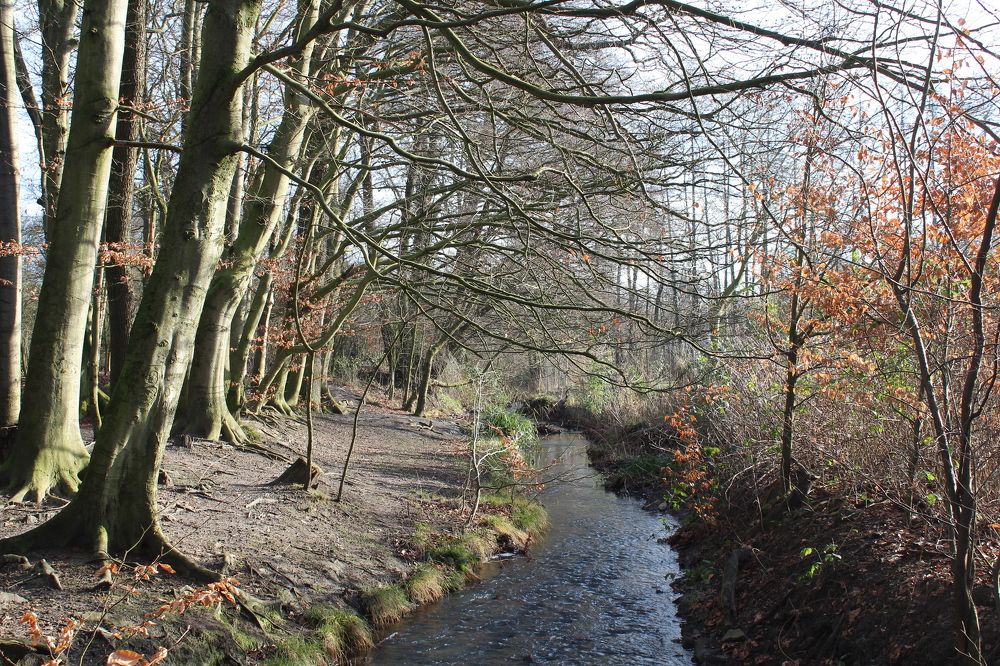 Photograph by Viktor Dikmann