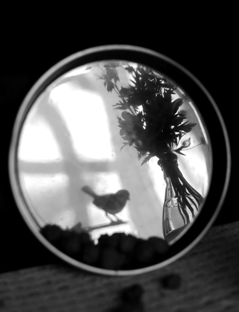 Photograph by Ася Радченко