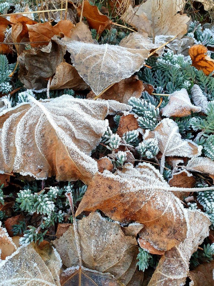 Photograph by Елена