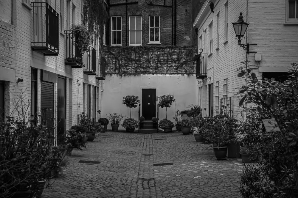 Photograph by Анастасия Бравичева