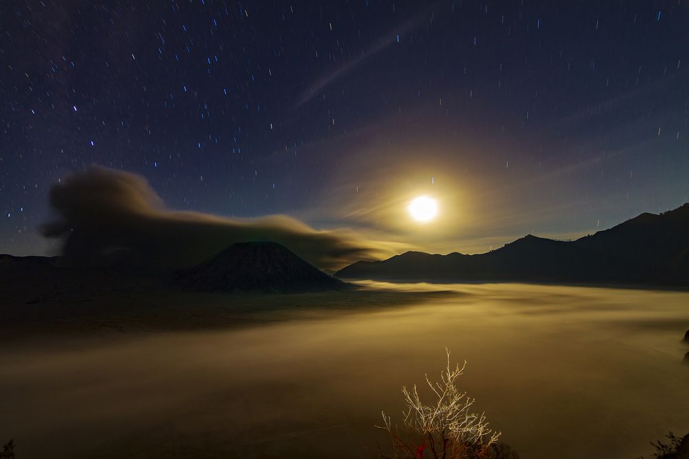 Photograph by Alex Irawan