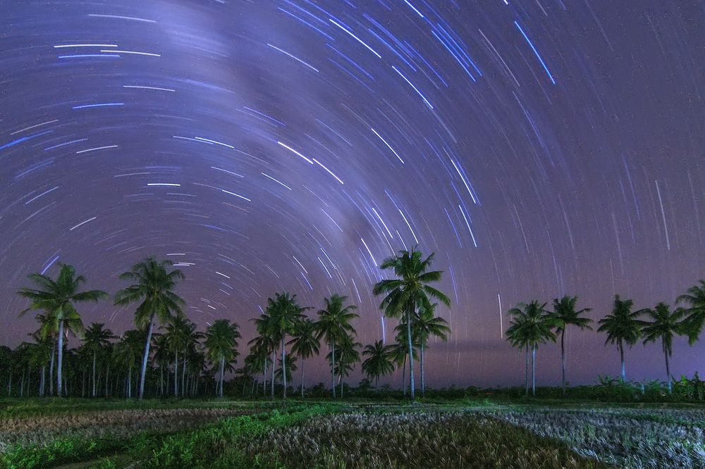 Photograph by Alex Irawan