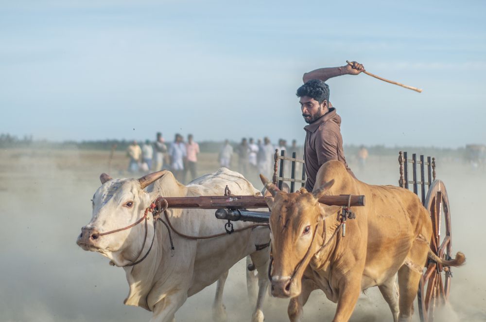 Photograph by Sriram Rajeswaran