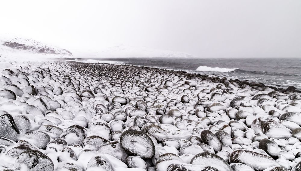 Photograph by Татьяна Глухова