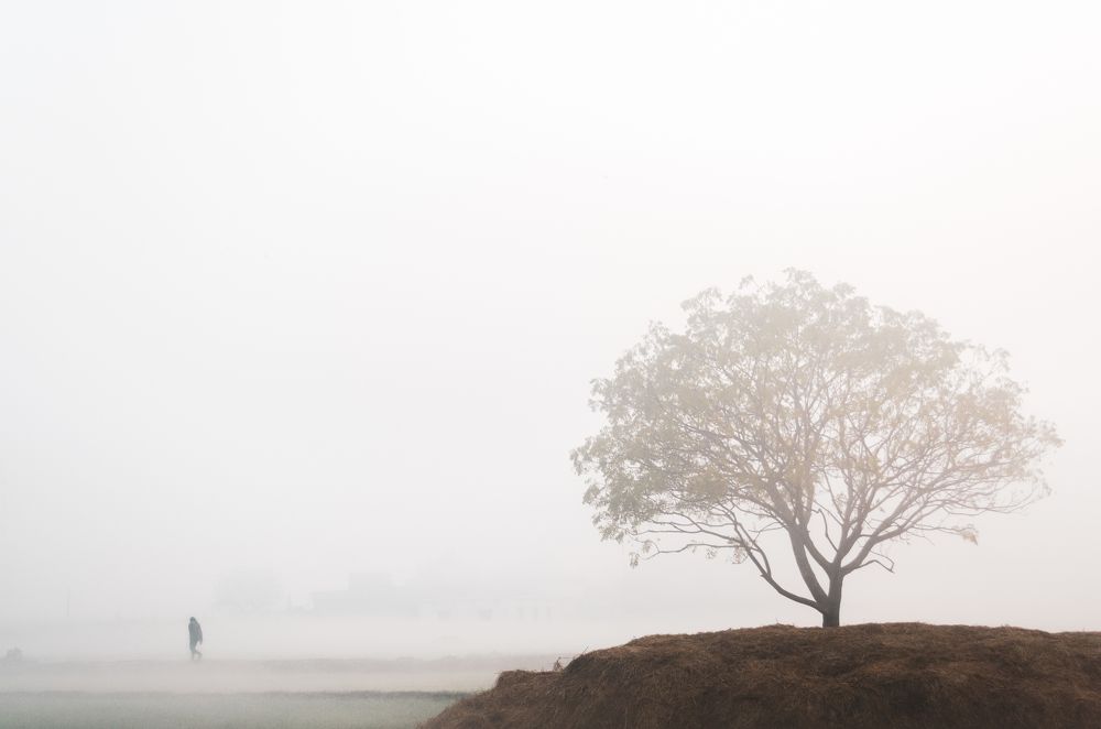 Photograph by Rashid Khan