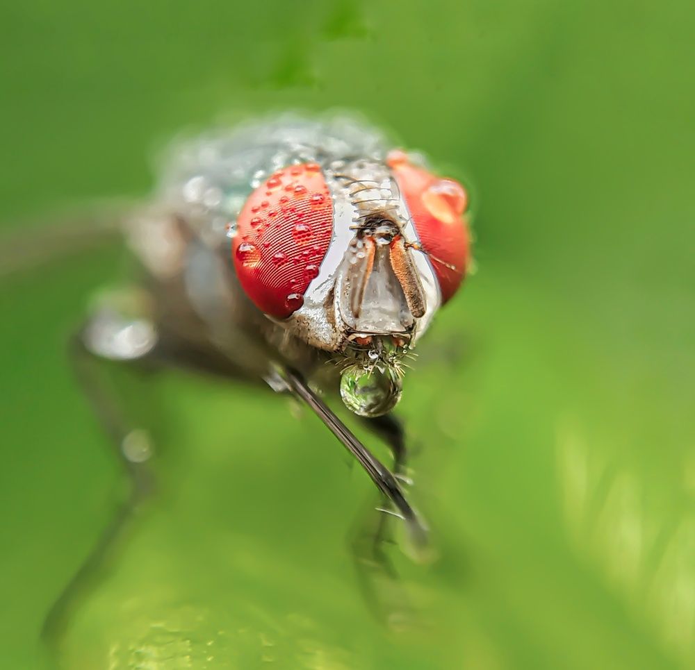 Фотография автора ISLAM SK RIYAJUL