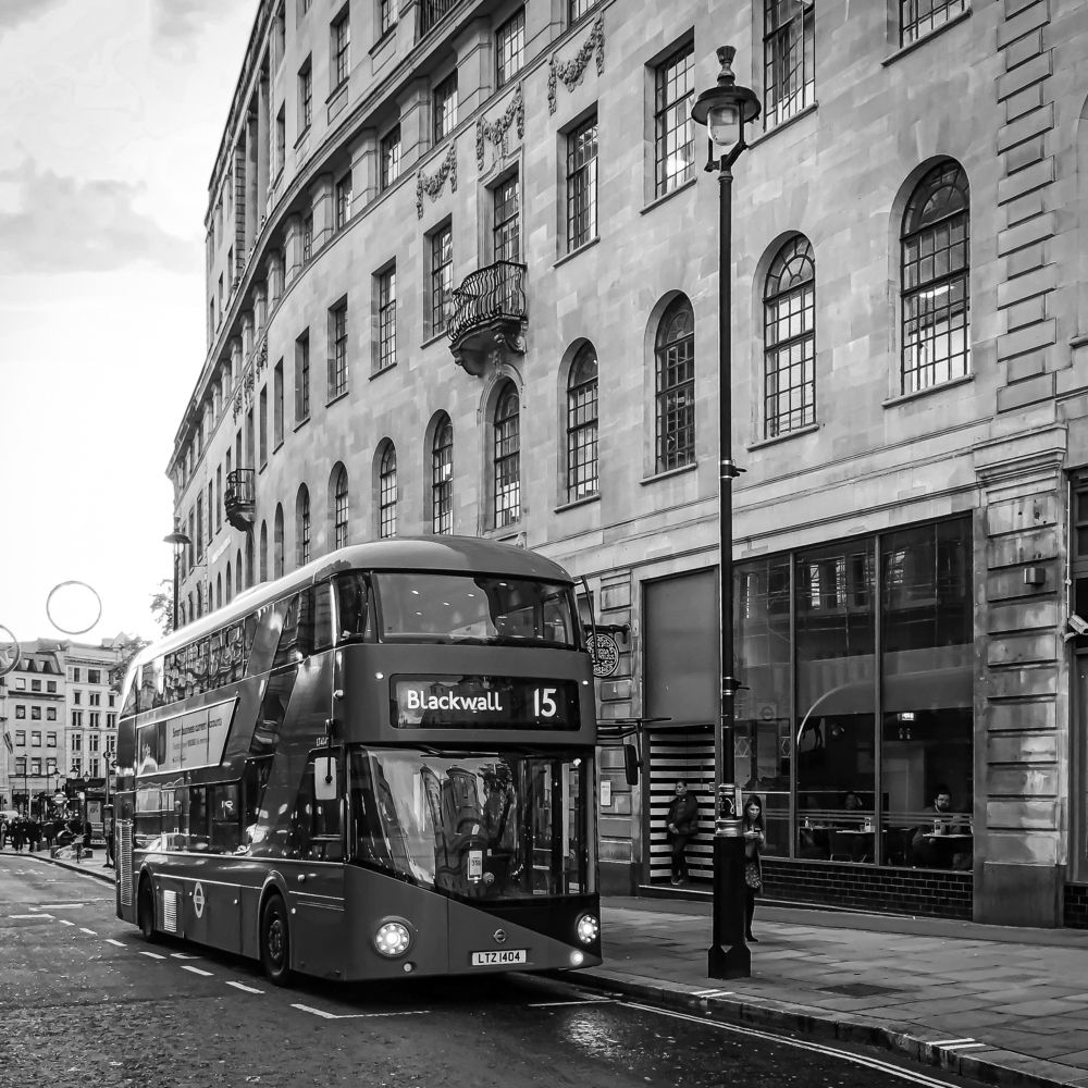 Photograph by Анастасия Бравичева