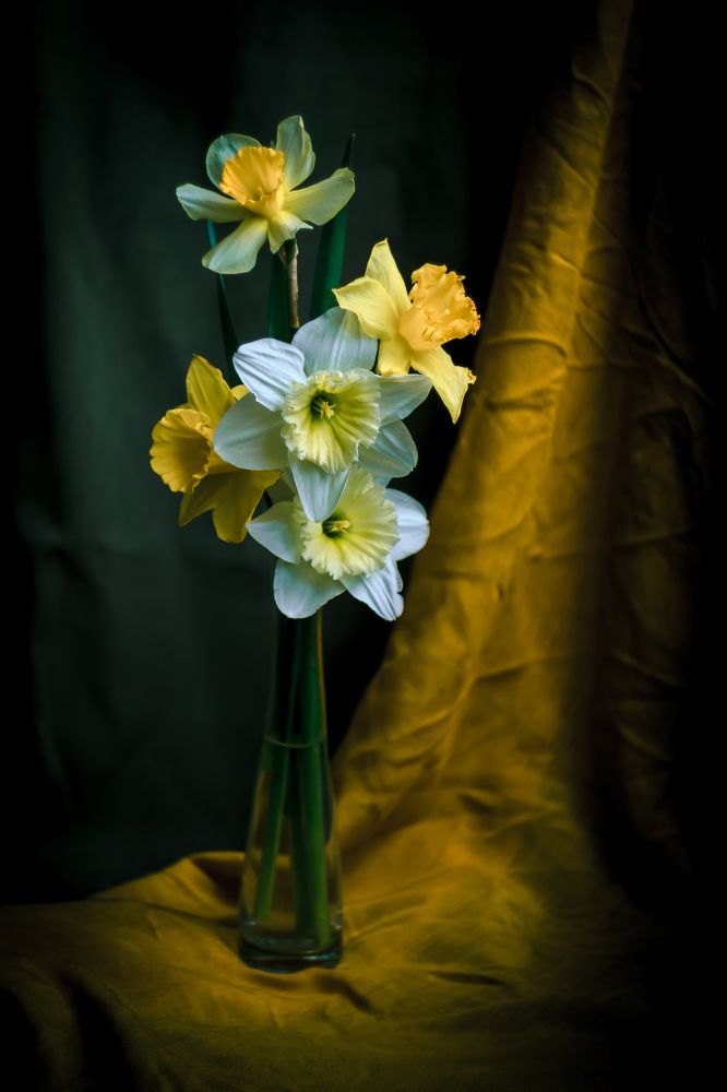 Натюрморт с нарциссами в голландском стиле