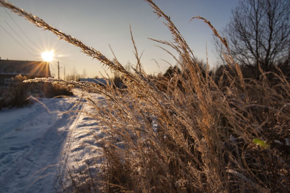 Photograph by андрей захаров