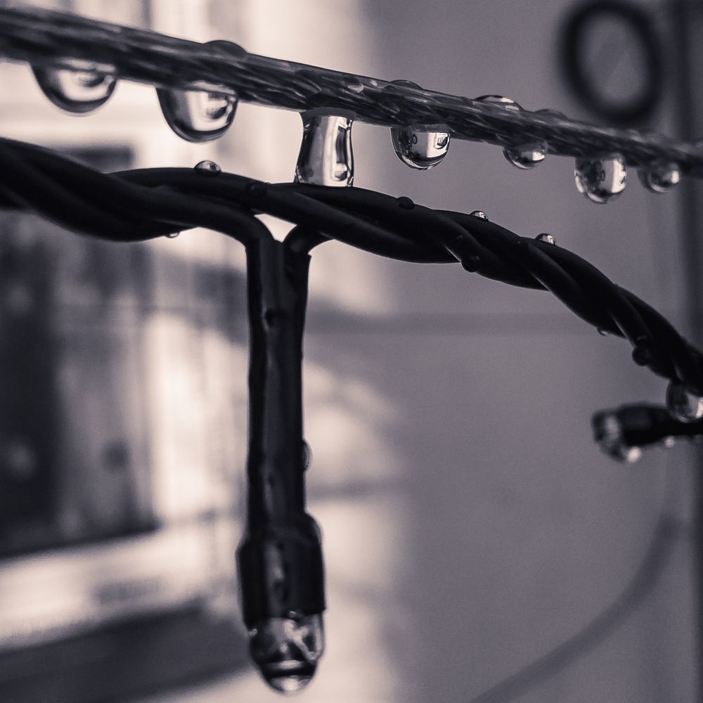 Photograph by Виталий Шкадинов