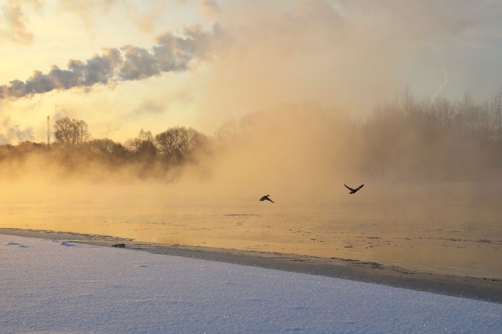 Фотография автора Елена Колосова