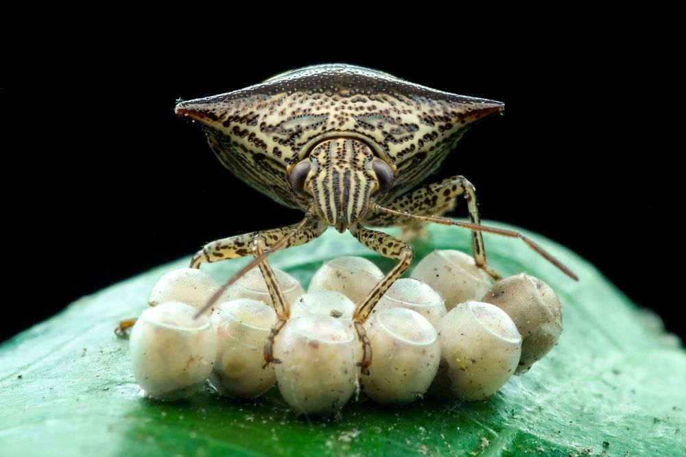 Photograph by KAIYEN LEE