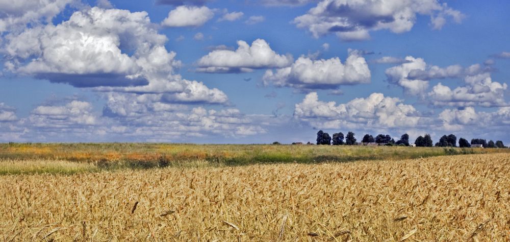 Фотография автора Александр Сальников
