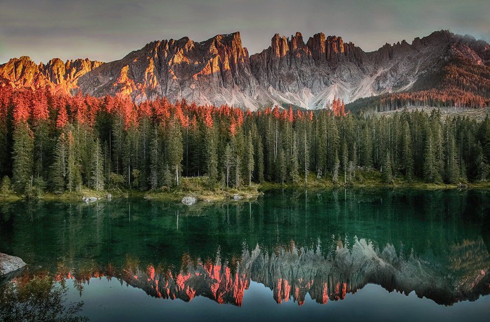 Photograph by Elena Gebert