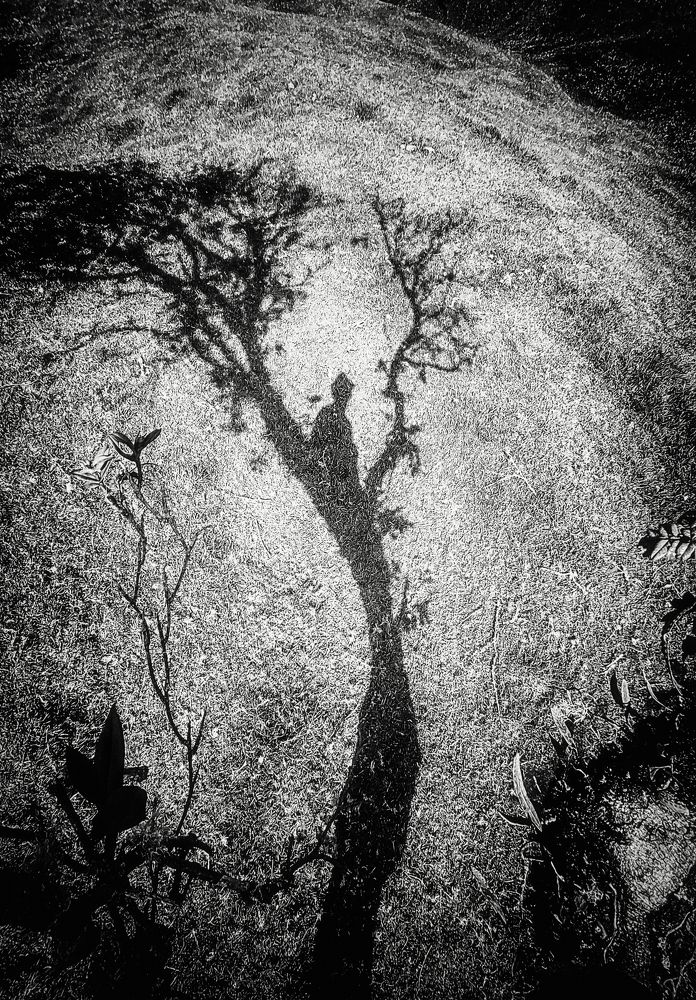 Photograph by Geiler Gonzalez