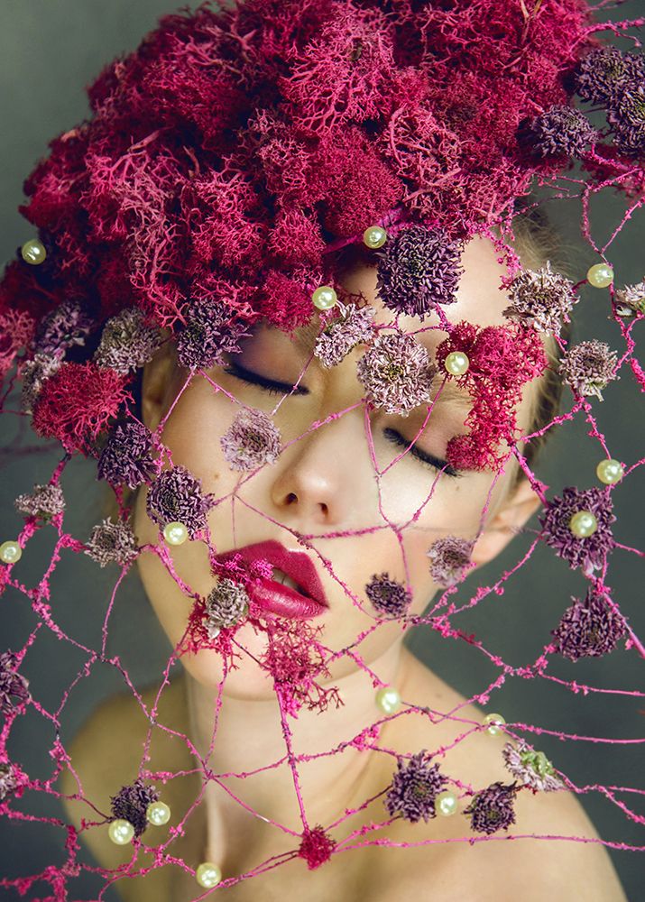 Фотография автора Илона Шевченко