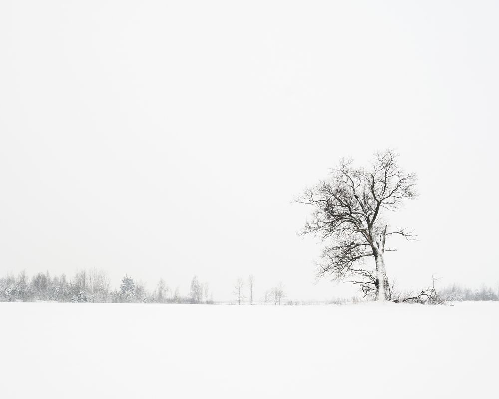 Photograph by Aliaksei Shandalin