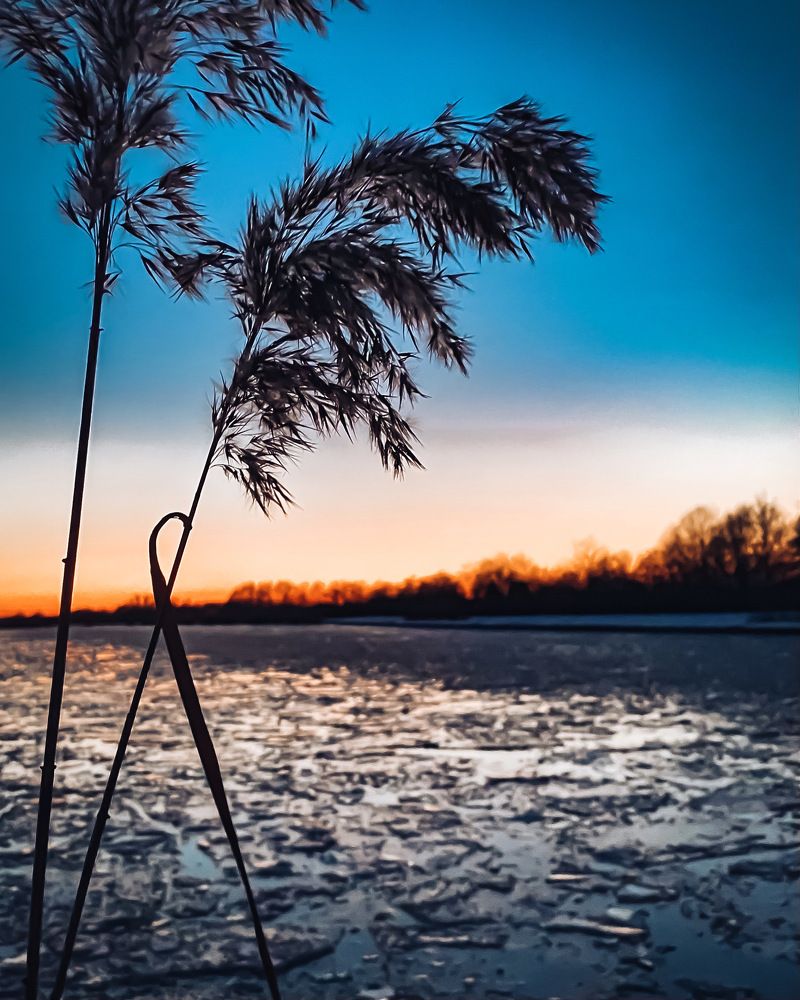 На закате...