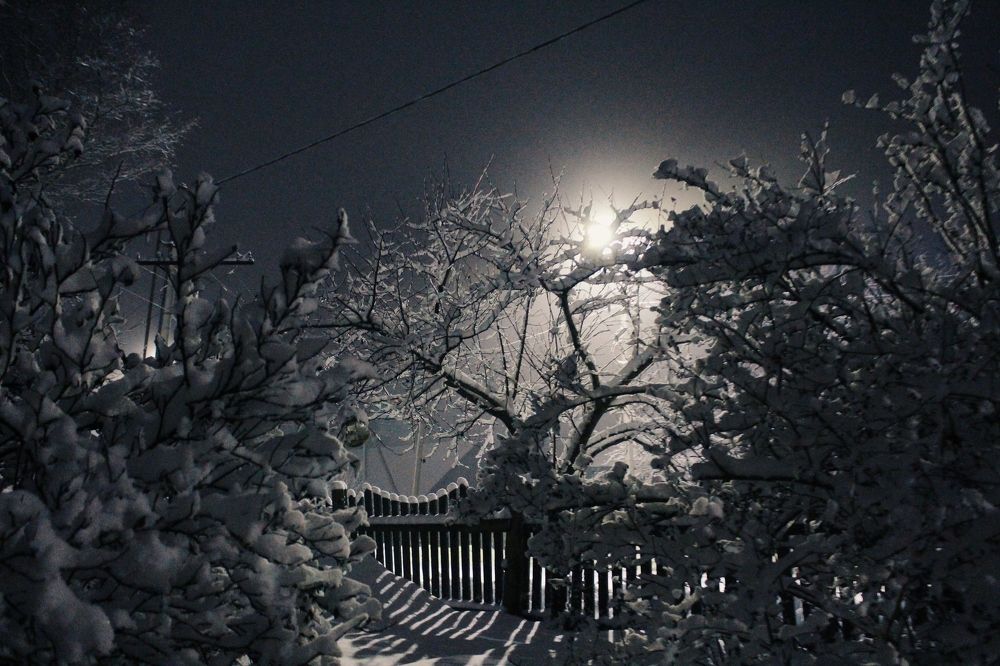 Photograph by Роман