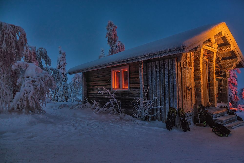 Photograph by Лариса Николаевна Дука