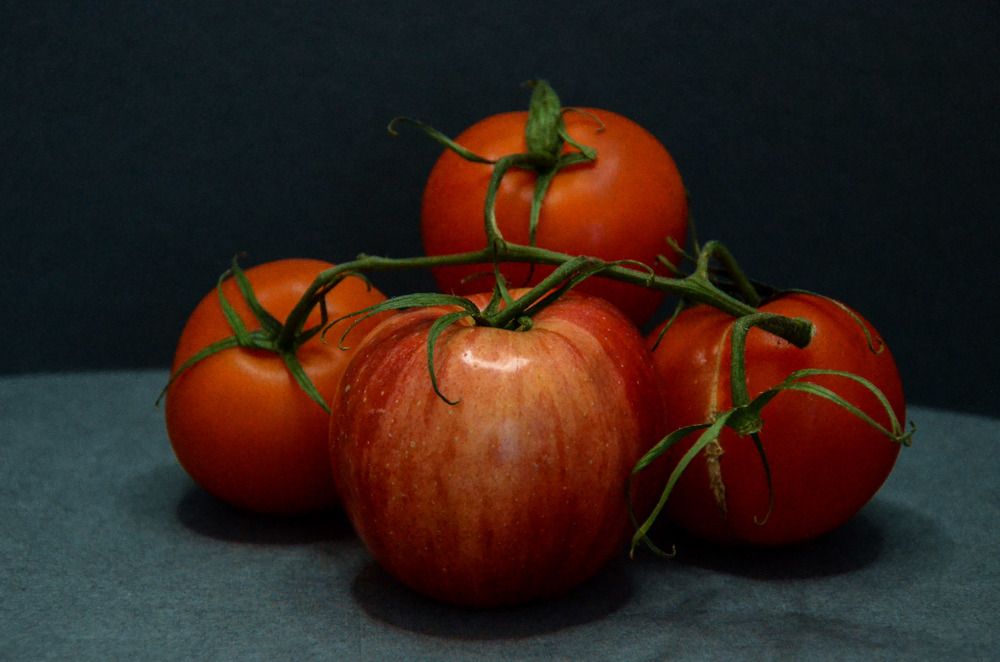 Photograph by Наталья Скиданова