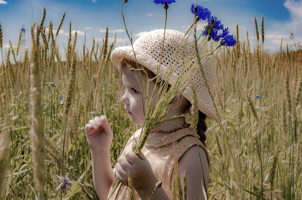 Василиса и васильки