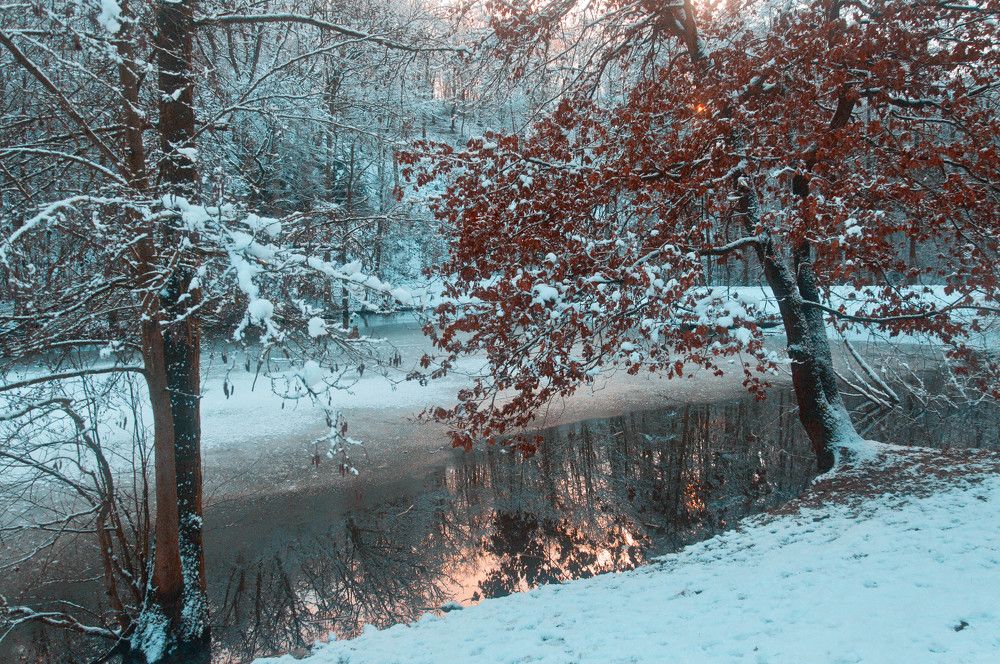 Photograph by Lesli Sky