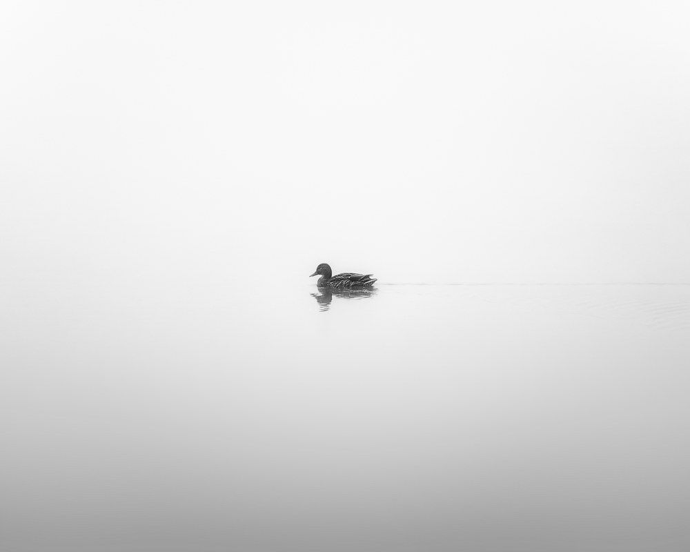 Photograph by Tomas Haluska