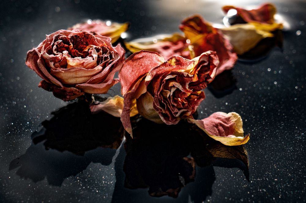 Aging beauty is just gorgeous