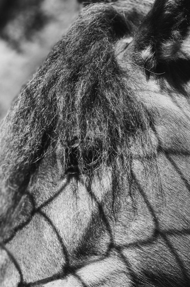 Photograph by Павел Тищенко