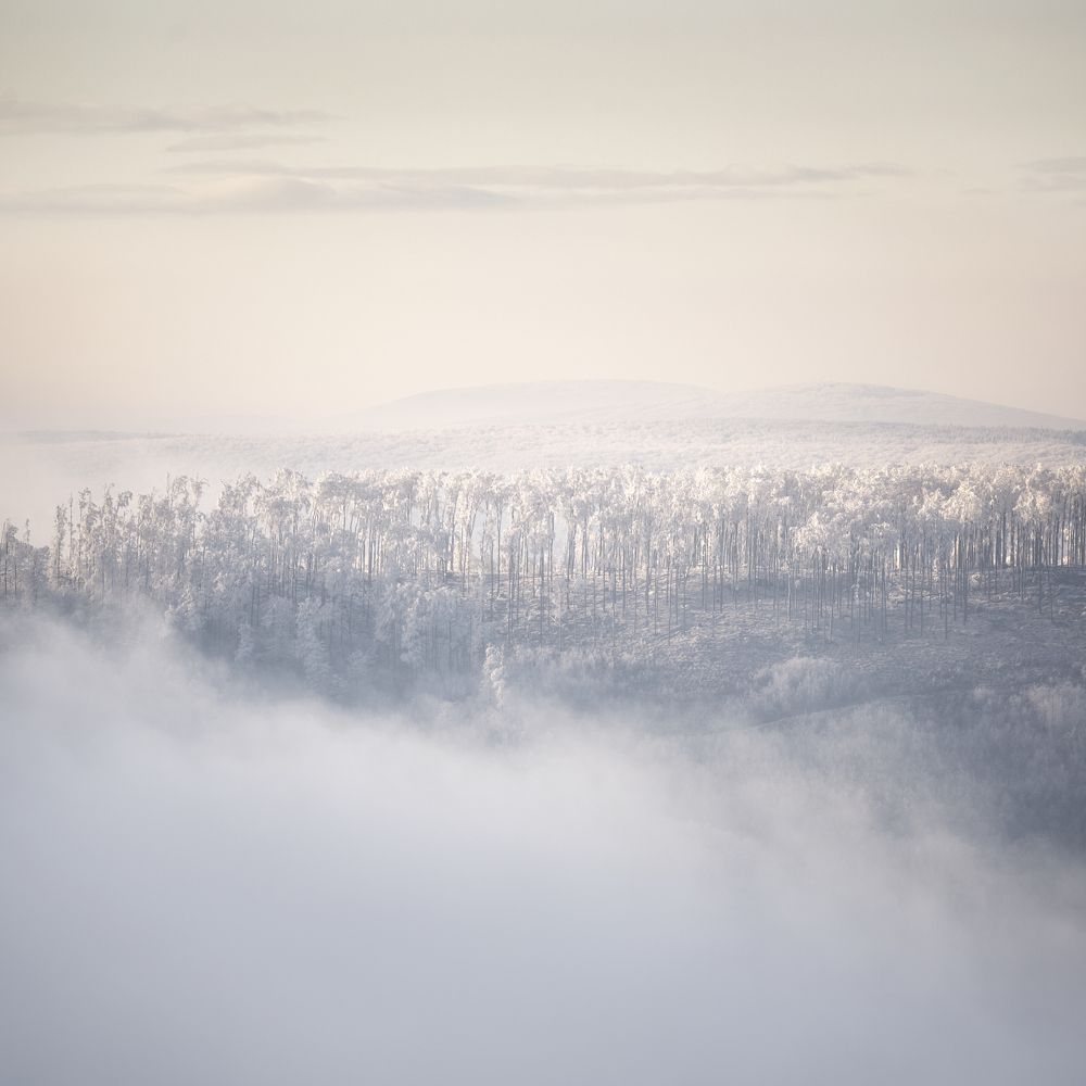 Photograph by Tomas Haluska