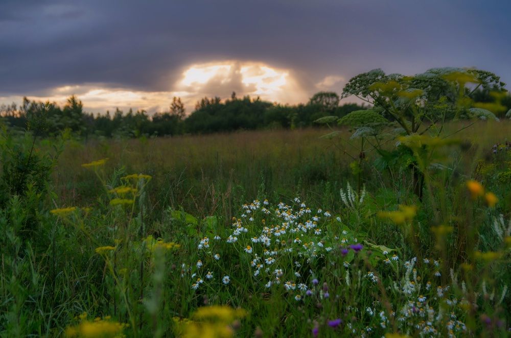 По дороге в д.Кряково