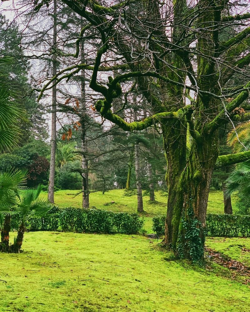 Photograph by Мария