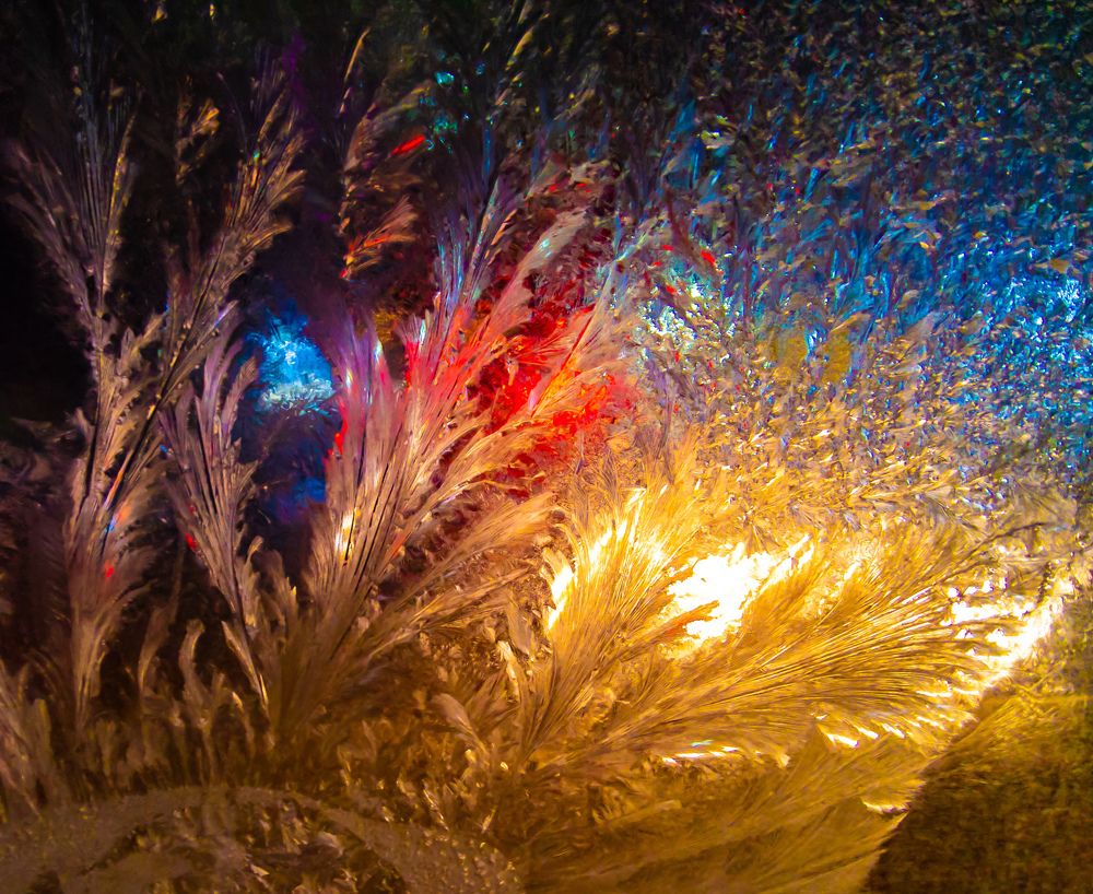 Ледяная жарптица