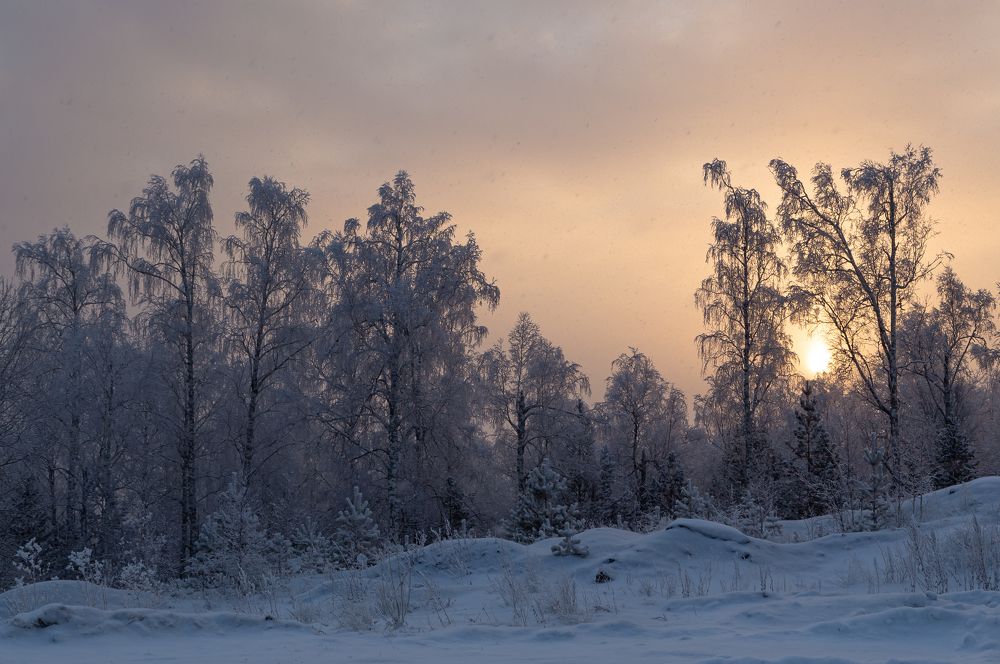 Photograph by Марина Новожилова
