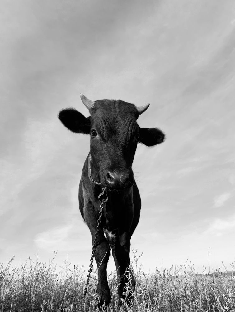 Photograph by Павел Тищенко