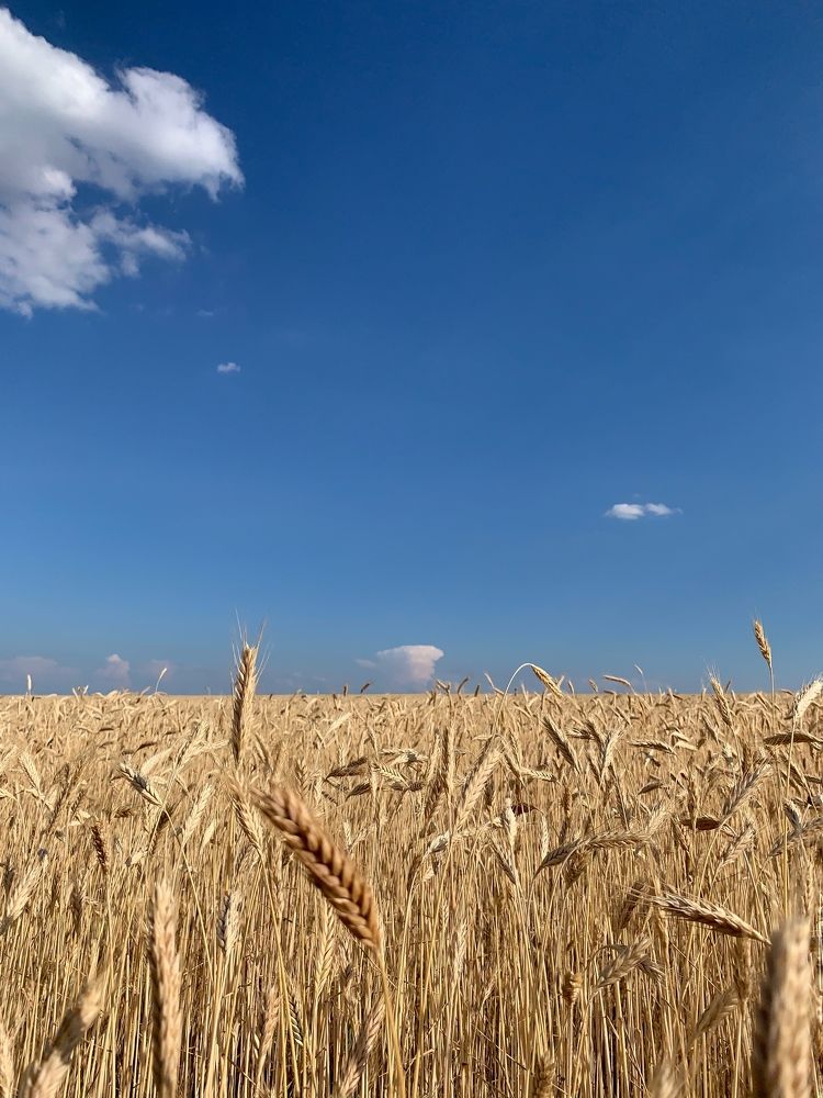 Photograph by Павел Тищенко