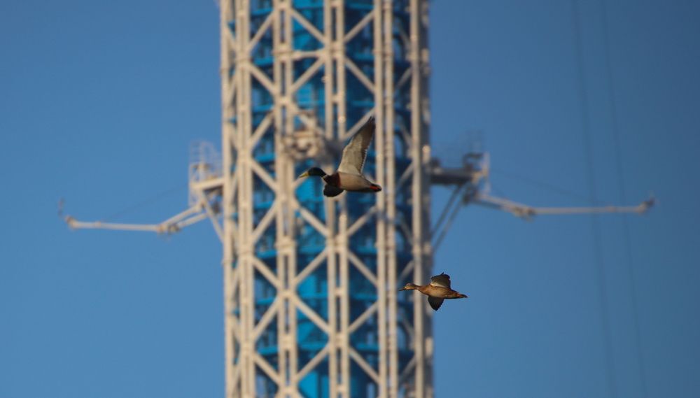 Photograph by Yuriy  Korsuntsev