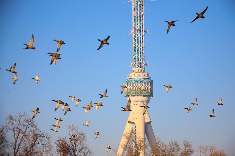 Photograph by Yuriy  Korsuntsev