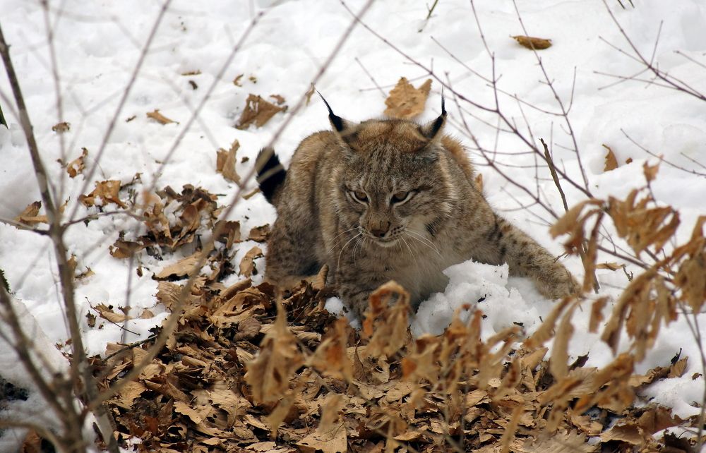 Photograph by Виктор Игнатенко.