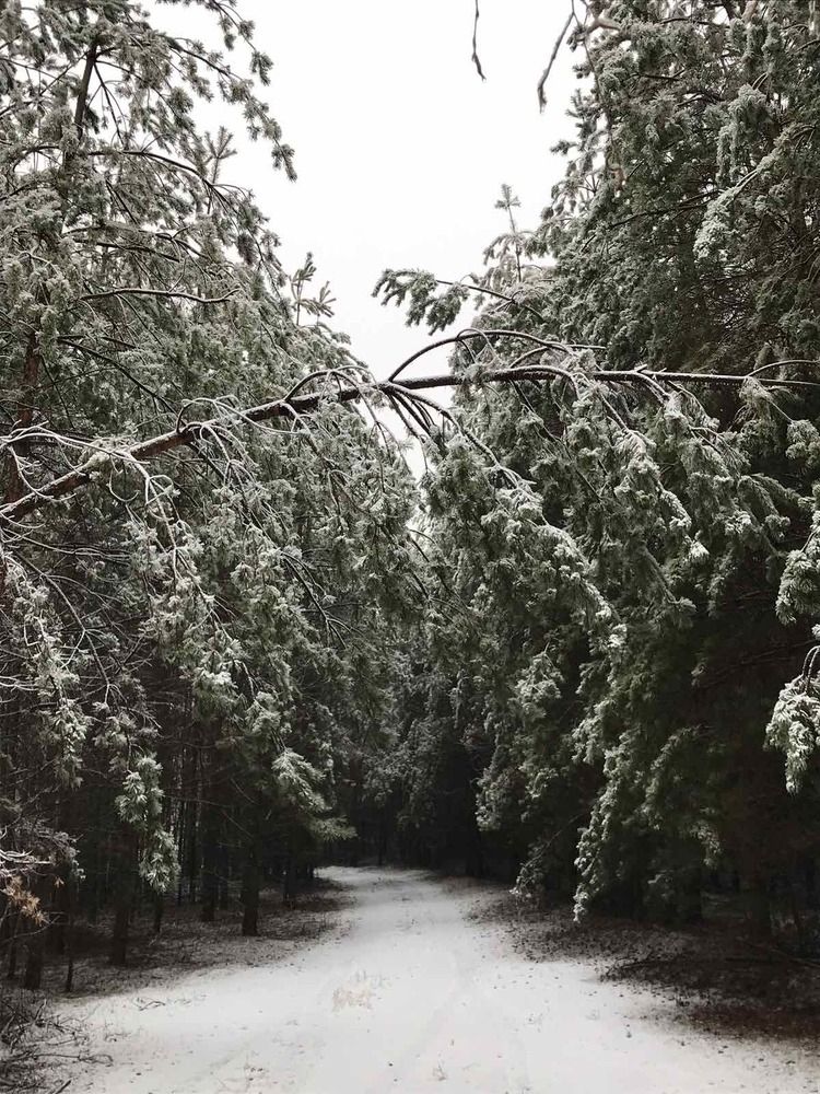 Фотография автора Алла Роденко